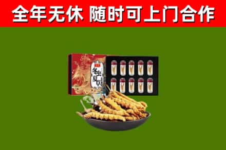 洪洞县烟酒回收冬虫夏草礼盒.jpg